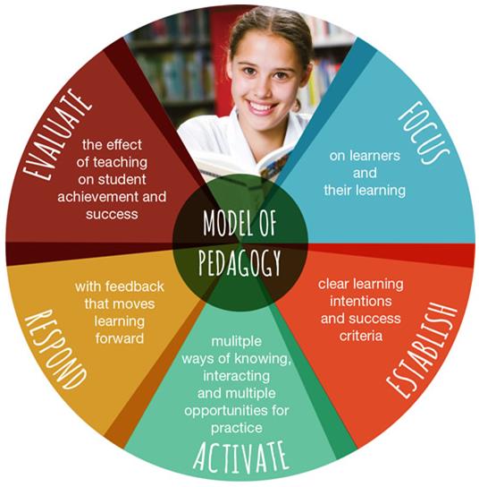 Pedagogy for web.jpg